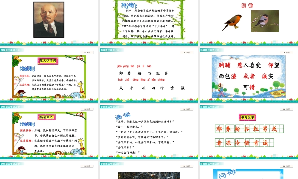 语文三年级上册-课时26 灰雀 课件.ppt