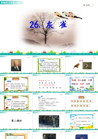 语文三年级上册-课时26 灰雀 课件.ppt