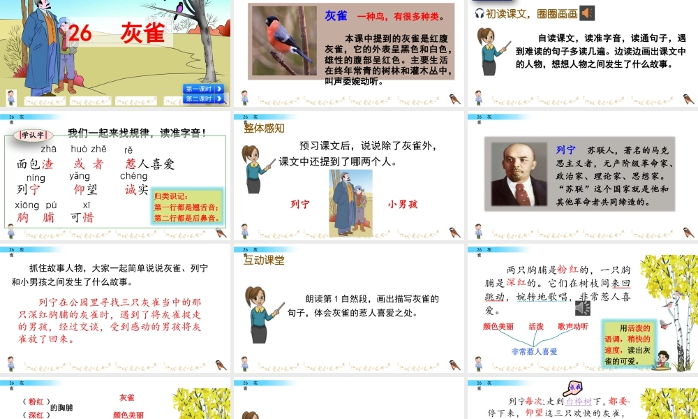 语文三年级上册-课时26 灰雀.pptx