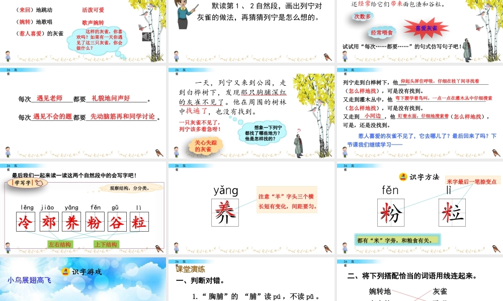 语文三年级上册-课时26 灰雀.pptx