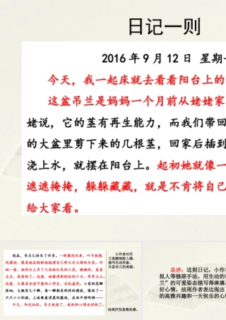 语文三年级上册-课时范文1：日记一则.pptx