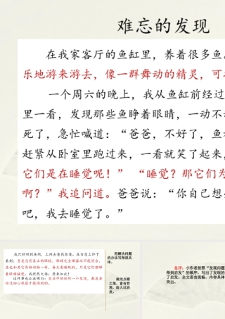 语文三年级上册-课时范文2：难忘的发现.pptx