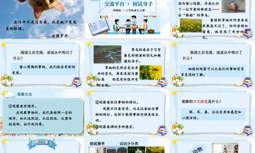 语文三年级上册-课时交流平台·初试身手 课件.ppt