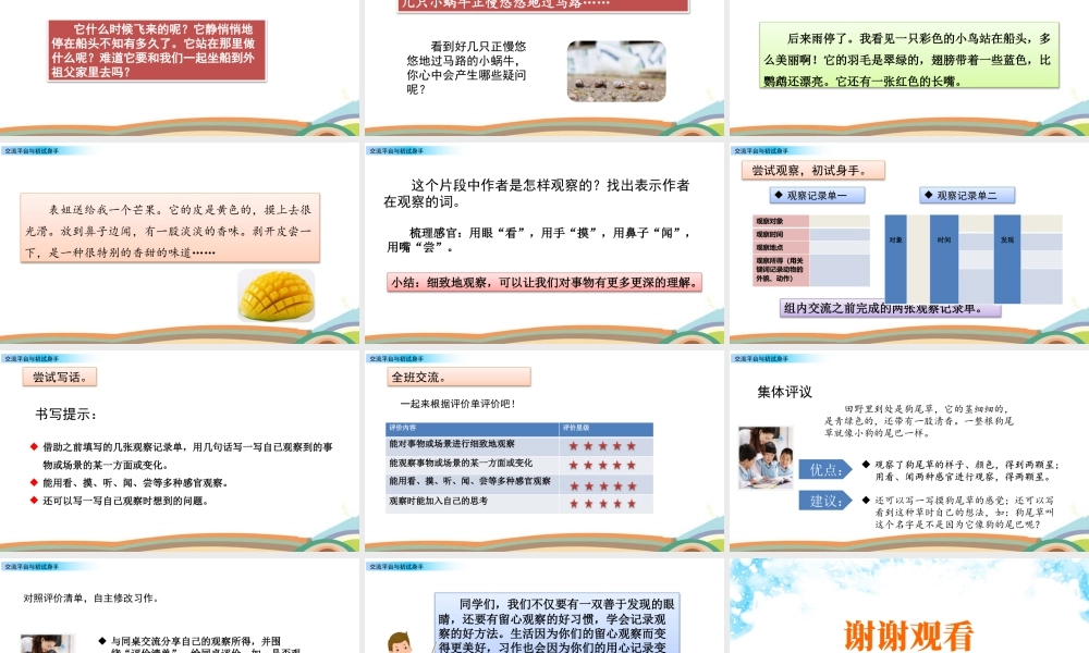 语文三年级上册-课时交流平台与初试身手.pptx