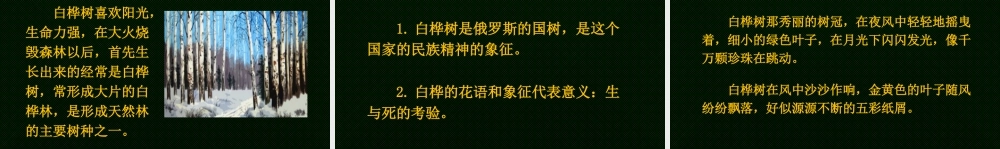 语文三年级上册-课时链接1：白桦树.pptx