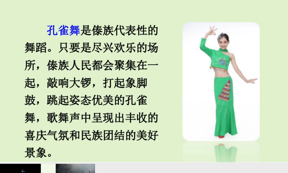 语文三年级上册-课时链接1：孔雀舞.ppt