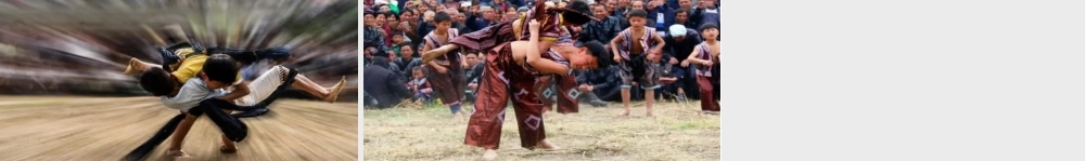 语文三年级上册-课时链接2：摔跤.ppt