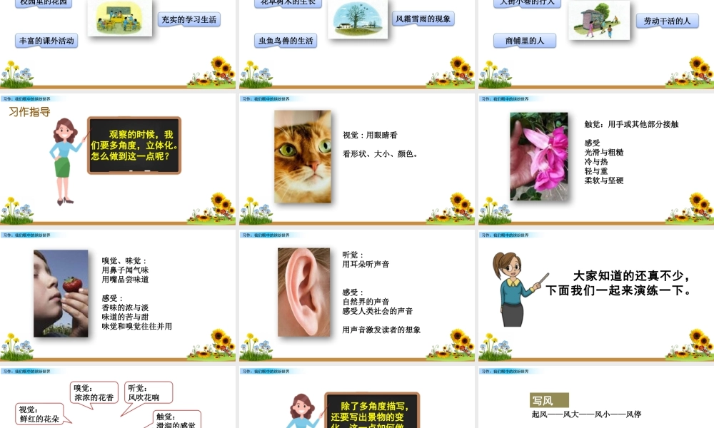 语文三年级上册-课时习作：我们眼中的缤纷世界.pptx