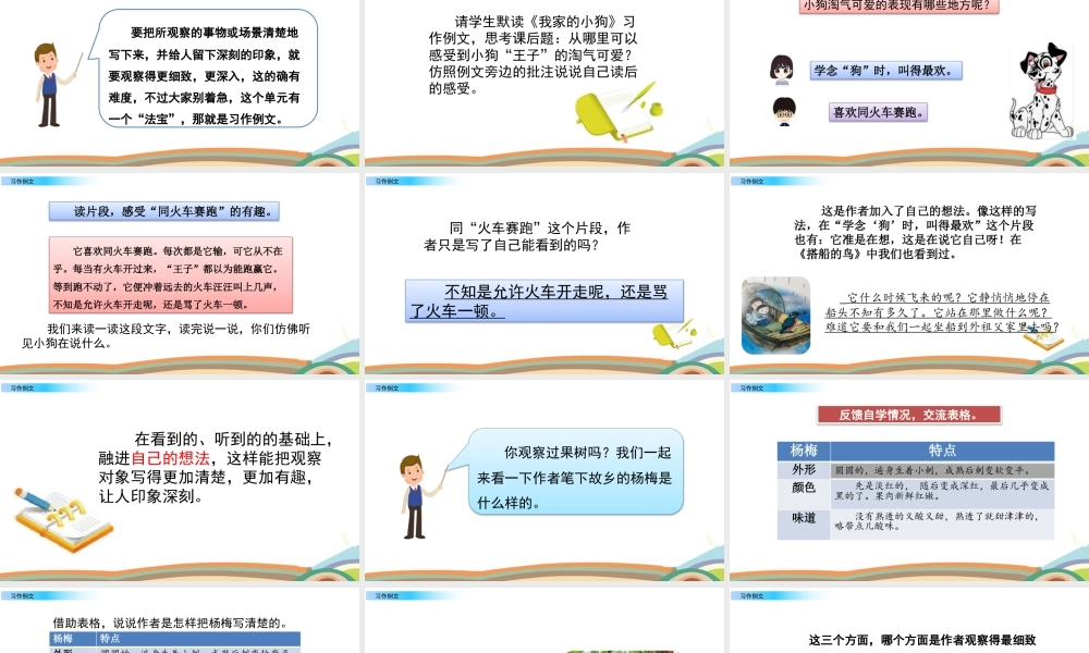 语文三年级上册-课时习作例文.pptx