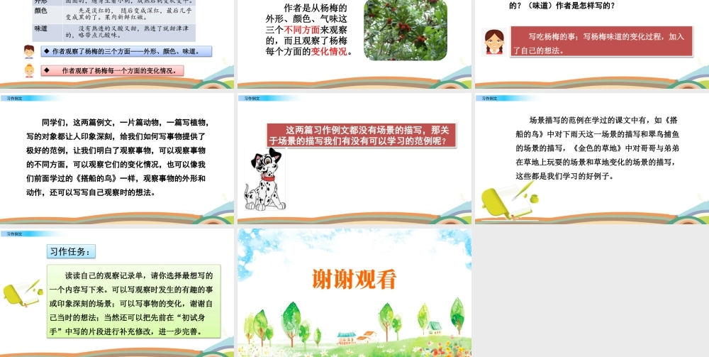 语文三年级上册-课时习作例文.pptx