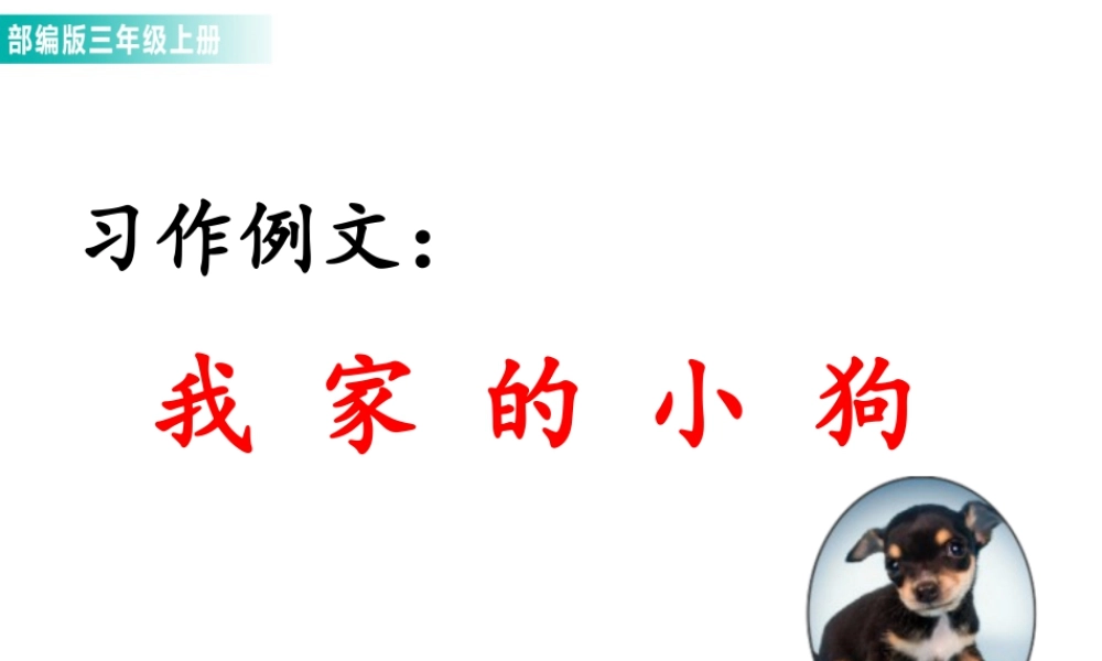 语文三年级上册-课时习作例文：我家的小狗 课件.ppt