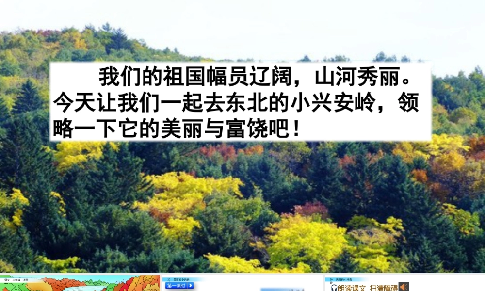 语文三年级上册-课时20 美丽的小兴安岭.pptx