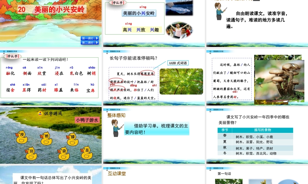 语文三年级上册-课时20 美丽的小兴安岭.pptx