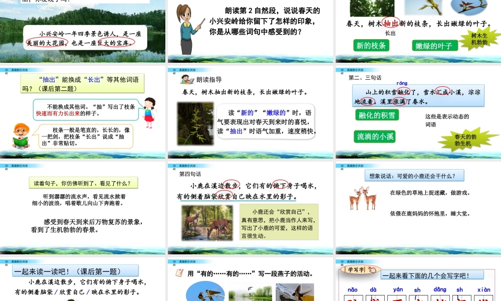 语文三年级上册-课时20 美丽的小兴安岭.pptx