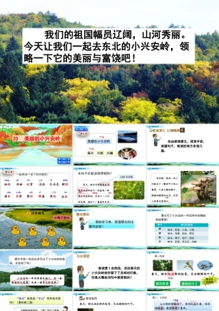 语文三年级上册-课时20 美丽的小兴安岭.pptx