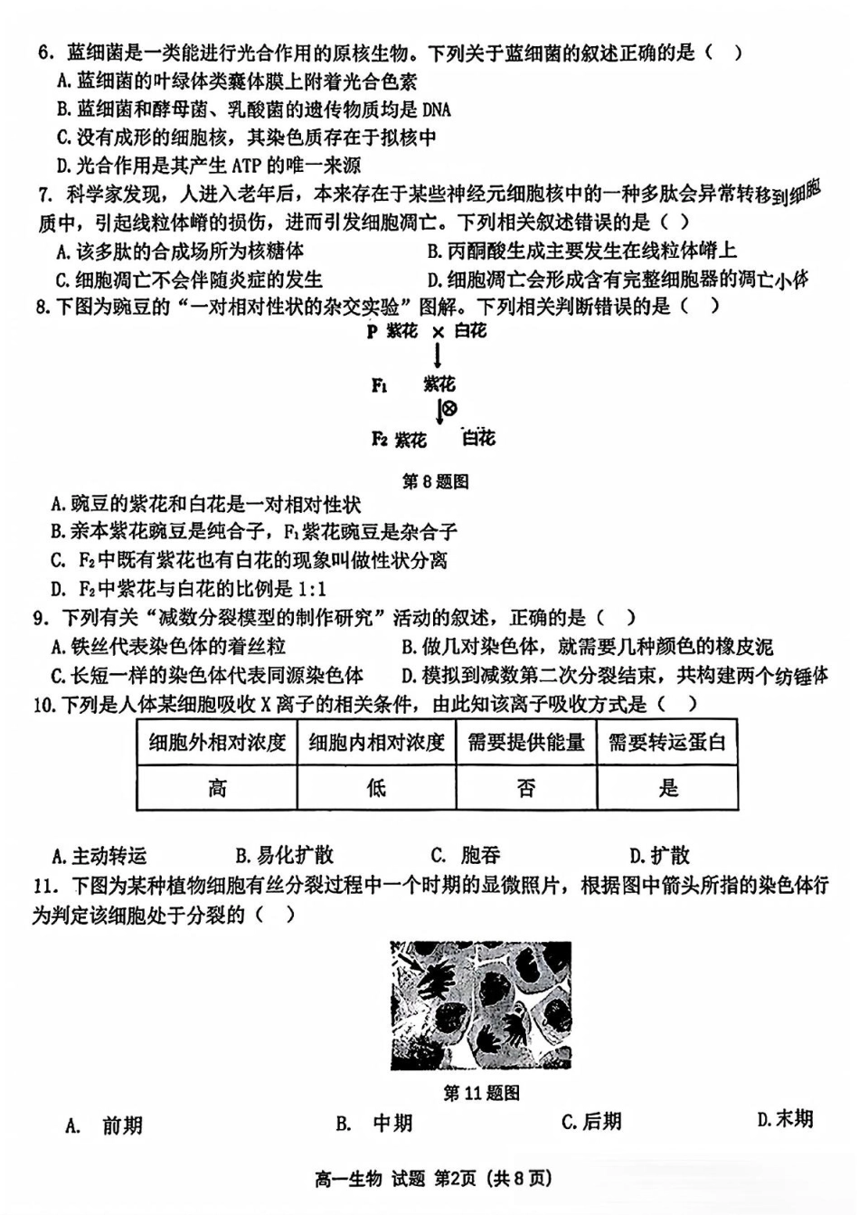 浙江省精诚联盟2024-2025学年高一下学期3月月考生物试题（PDF版，含答案）.pdf_第2页