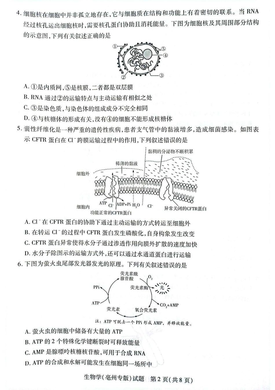 安徽省滁州市2024-2025学年高一下学期3月月考生物试题（扫描版有答案）.pdf_第2页