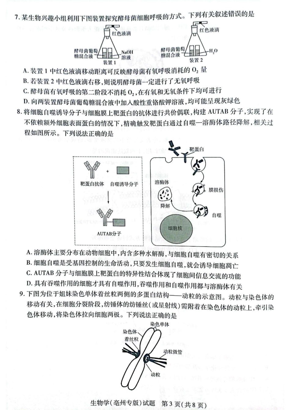 安徽省滁州市2024-2025学年高一下学期3月月考生物试题（扫描版有答案）.pdf_第3页