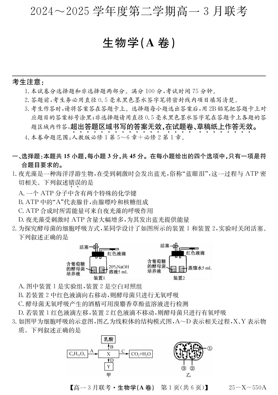 安徽省县中联盟2024-2025学年高一下学期3月联考试题 生物（A卷）PDF版含解析.pdf_第1页