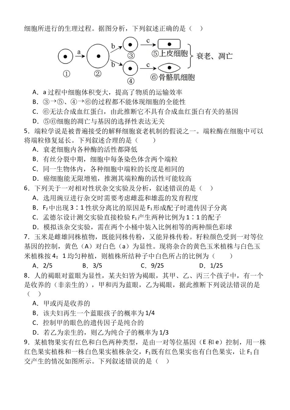 甘肃省张掖市民乐县第一中学2024-2025学年高一下学期3月月考生物试卷_高一（5）部3月考生物试卷.docx_第2页