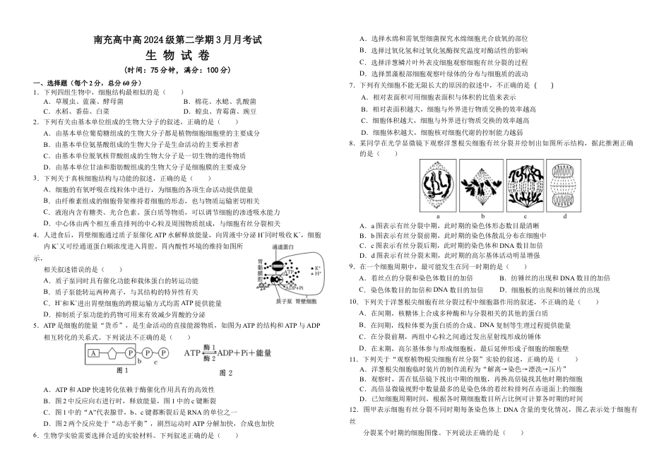 高2024级3月月考生物试卷终(1).docx_第1页