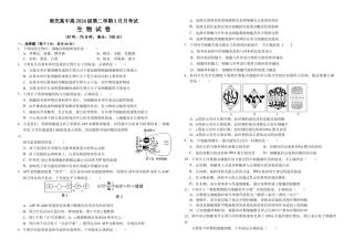 高2024级3月月考生物试卷终(1).docx