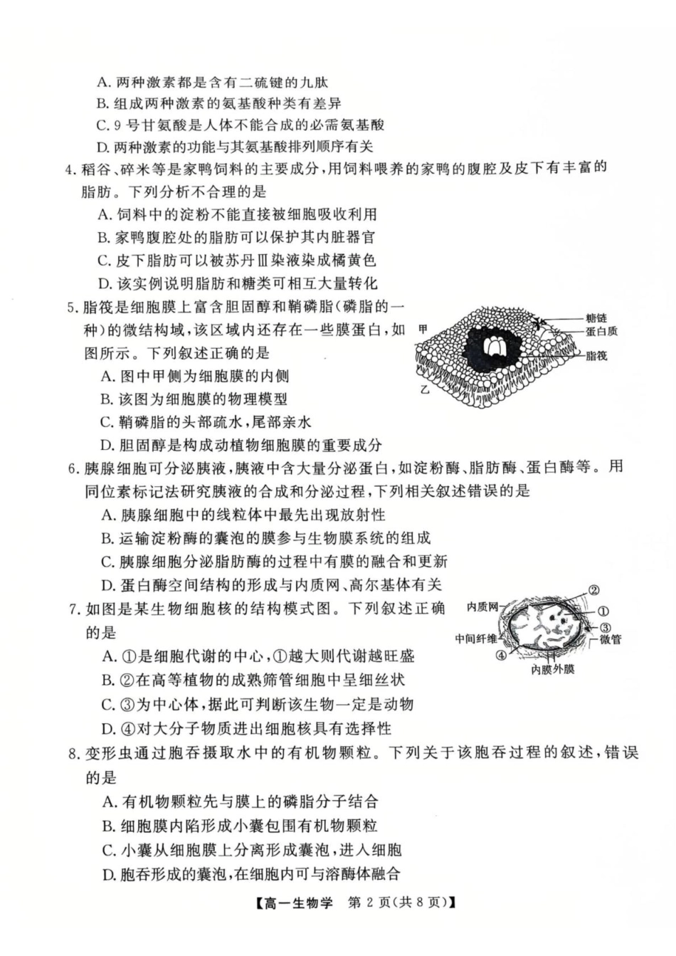 广东省茂名市高州市2024-2025学年高一上学期1月期末考试  生物  PDF版含答案_生物高一上学期期末考试试卷.pdf_第2页
