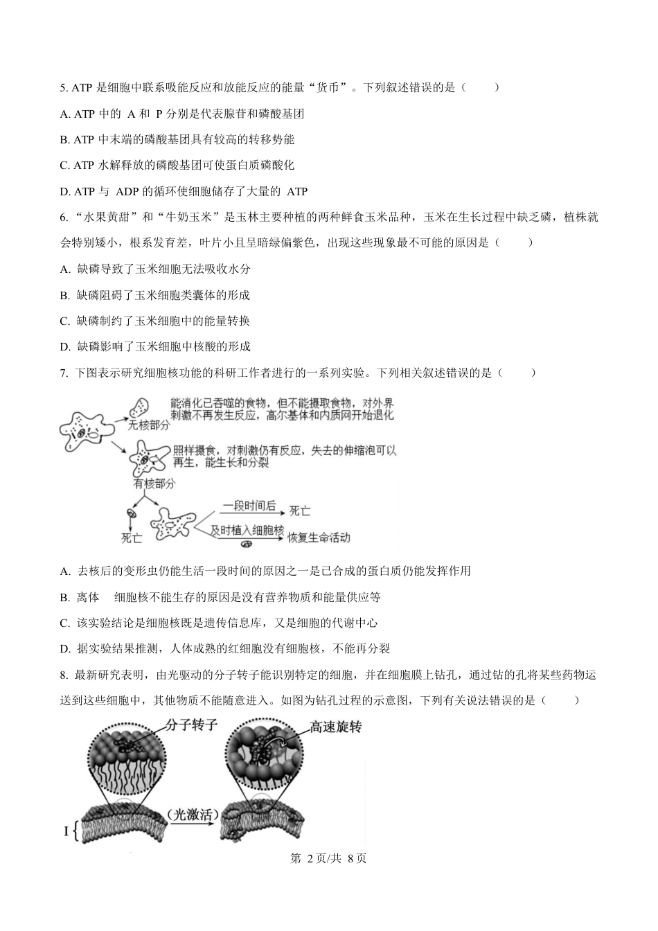 广西玉林市2024-2025学年高一上学期期末教学质量检测生物试卷  Word版无答案.docx_第2页