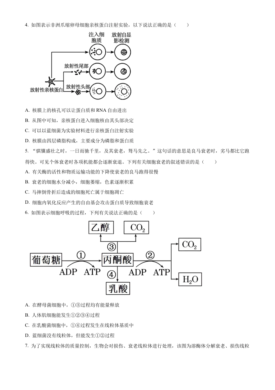 广西壮族自治区河池市2024-2025学年高一上学期1月期末生物试题  Word版无答案.docx_第2页