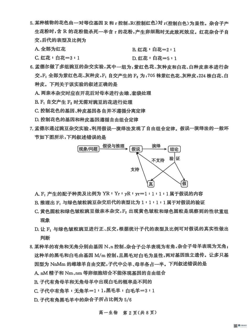 河北省省级示范高中联合测评2024-2025学年高一下学期3月月考生物试题（扫描版有解析）.pdf_第2页