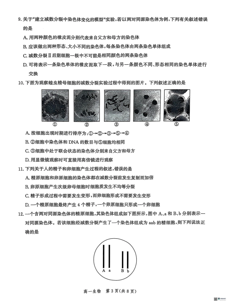 河北省省级示范高中联合测评2024-2025学年高一下学期3月月考生物试题（扫描版有解析）.pdf_第3页