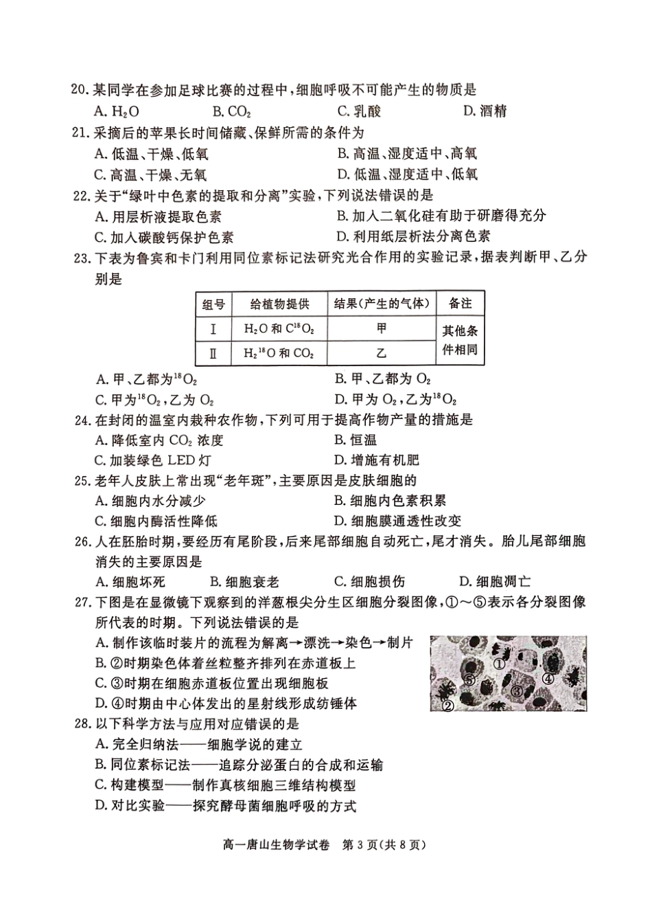 河北省唐山市2024-2025学年高一上学期期末考试 生物 PDF版无答案.pdf_第3页