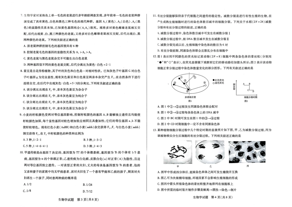 河南省创新发展联盟2024-2025学年高一下学期3月月考生物试题_扫描件_生物.pdf_第2页