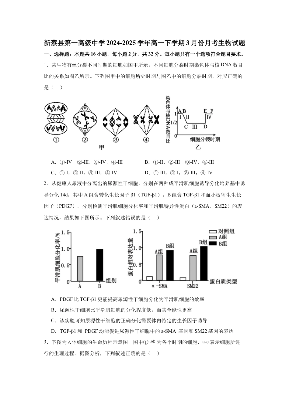 河南省驻马店市新蔡县第一高级中学2024-2025学年高一下学期3月月考生物学试题（含答案）.docx_第1页