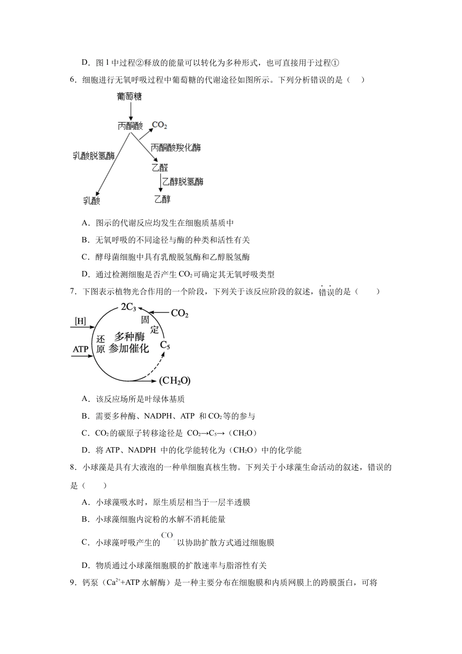 河南省驻马店市新蔡县第一高级中学2024-2025学年高一下学期3月月考生物学试题（含答案）.docx_第3页