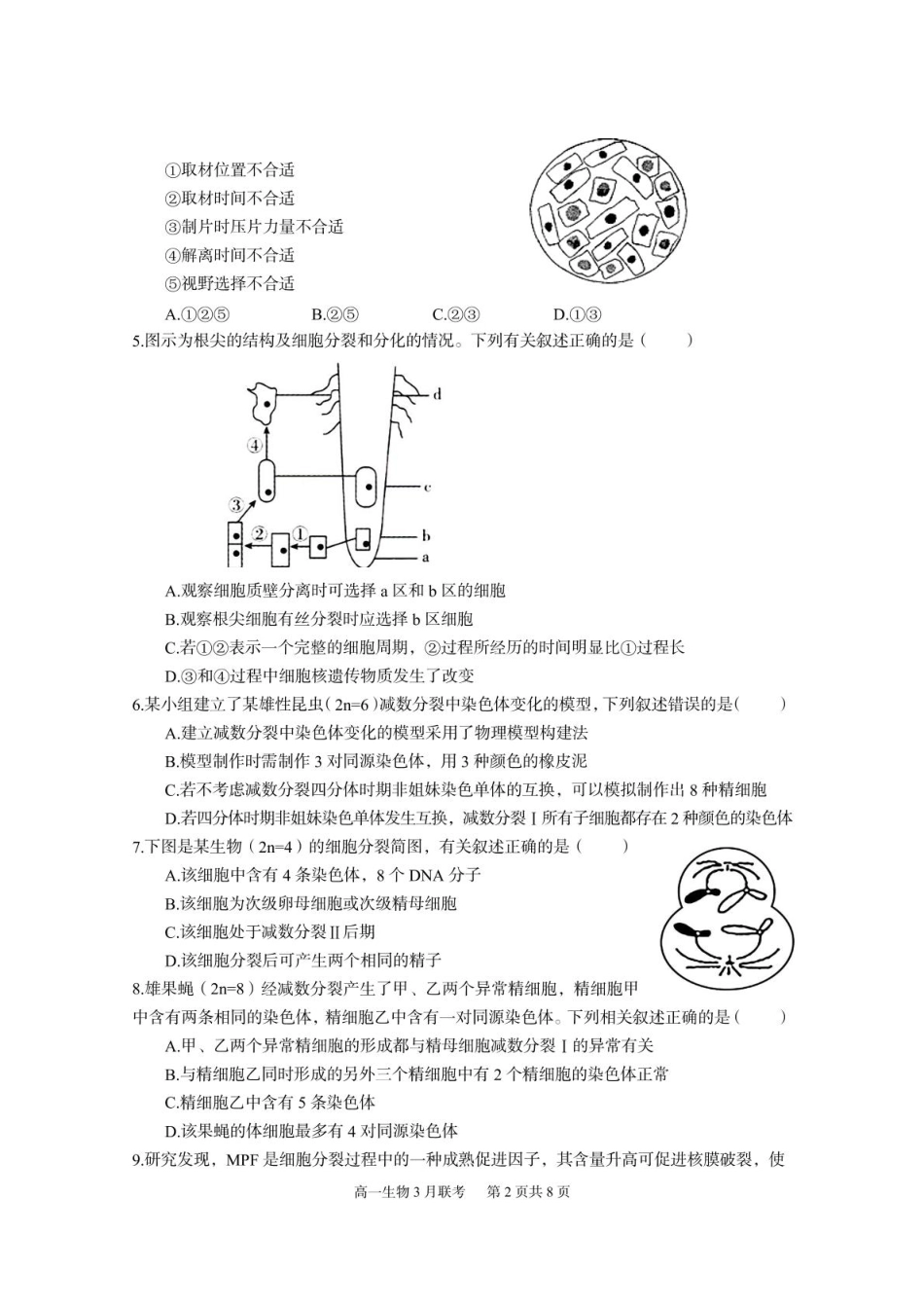 湖北省武汉市蔡甸区汉阳一中、江夏区第一中学、洪山高级中学2024-2025学年高一下学期3月联考生物试卷 PDF版含答案_6一中高一生物.pdf_第2页