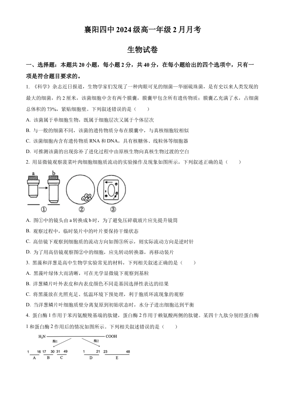 湖北省襄阳市第四中学2024—2025学年高一下学期2月考试生物学试题（含答案）.docx_第1页