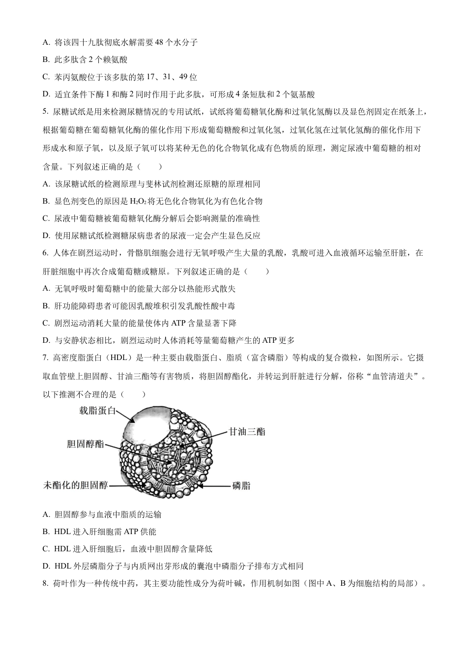 湖北省襄阳市第四中学2024—2025学年高一下学期2月考试生物学试题（含答案）.docx_第2页