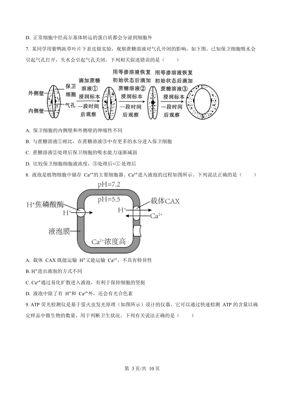 湖南省郴州市2024—2025学年高一上学期期末考试生物试题（原卷版）.docx_第3页