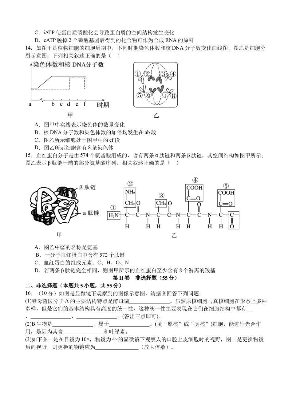 泸县五中2025年春期高一开学考试生物试题.docx_第3页