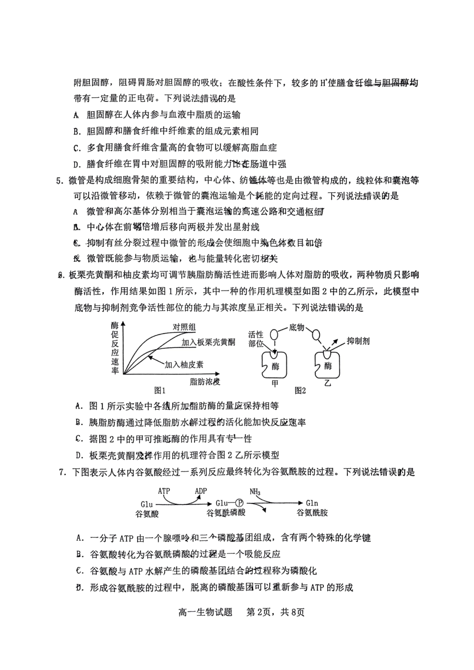 山东省烟台市2024-2025年高一上学期期末考试生物试题.pdf_第2页