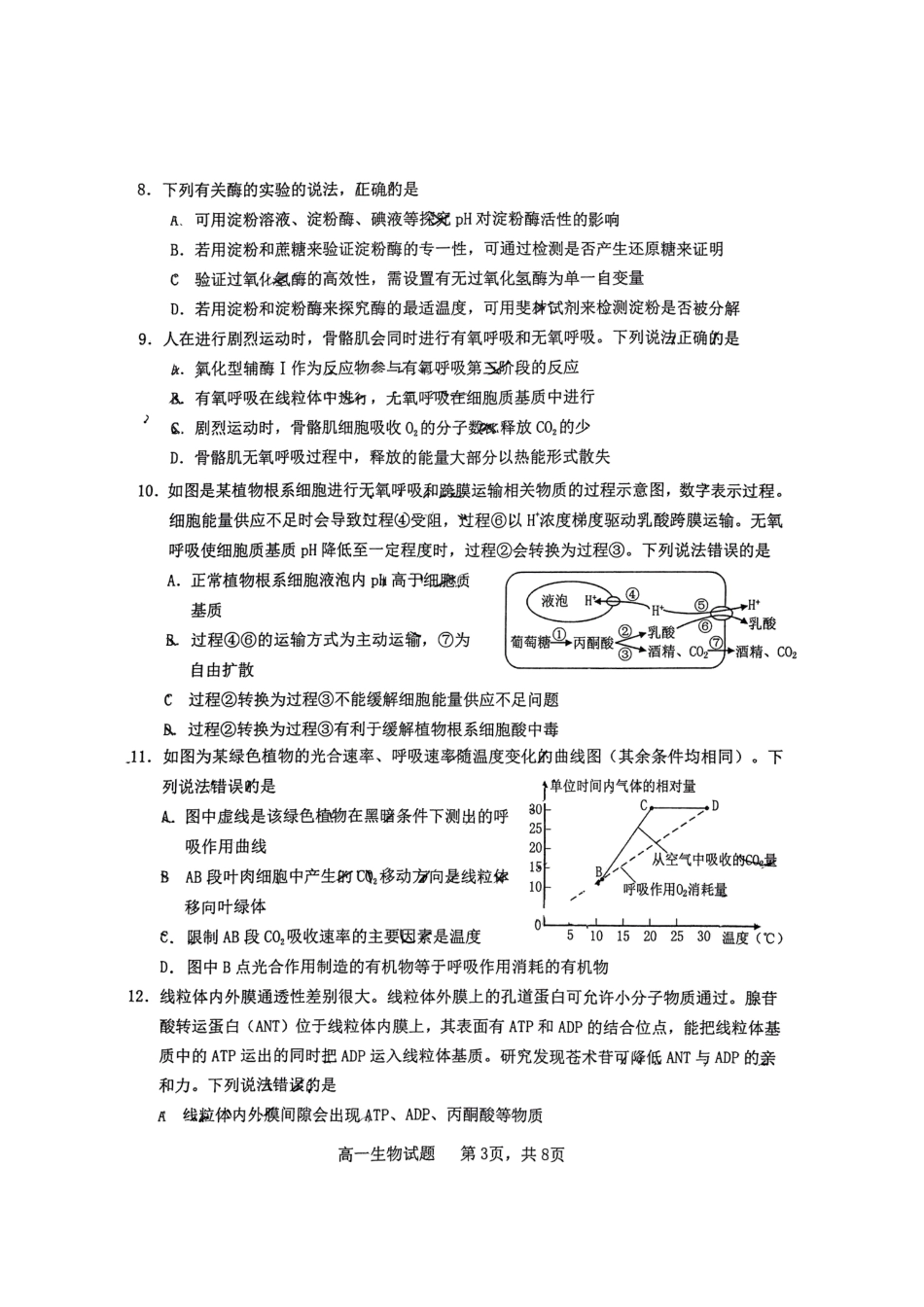 山东省烟台市2024-2025年高一上学期期末考试生物试题.pdf_第3页