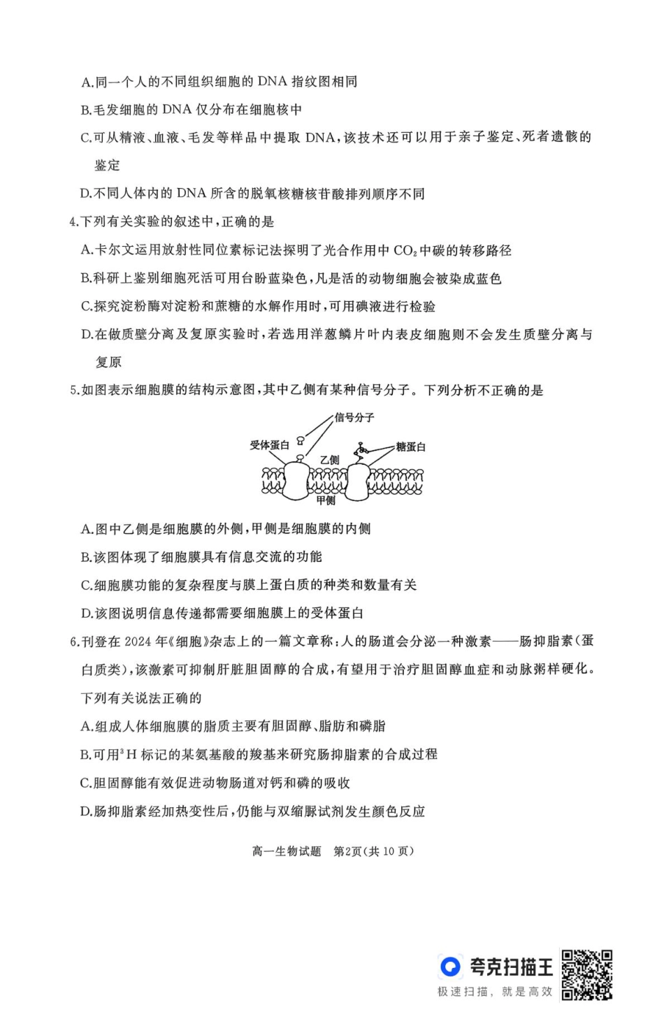 山东省枣庄市台儿庄区等2地2024-2025学年高一上学期1月期末考试  生物  PDF版含答案_作业美化_高一生物试题.pdf_第2页