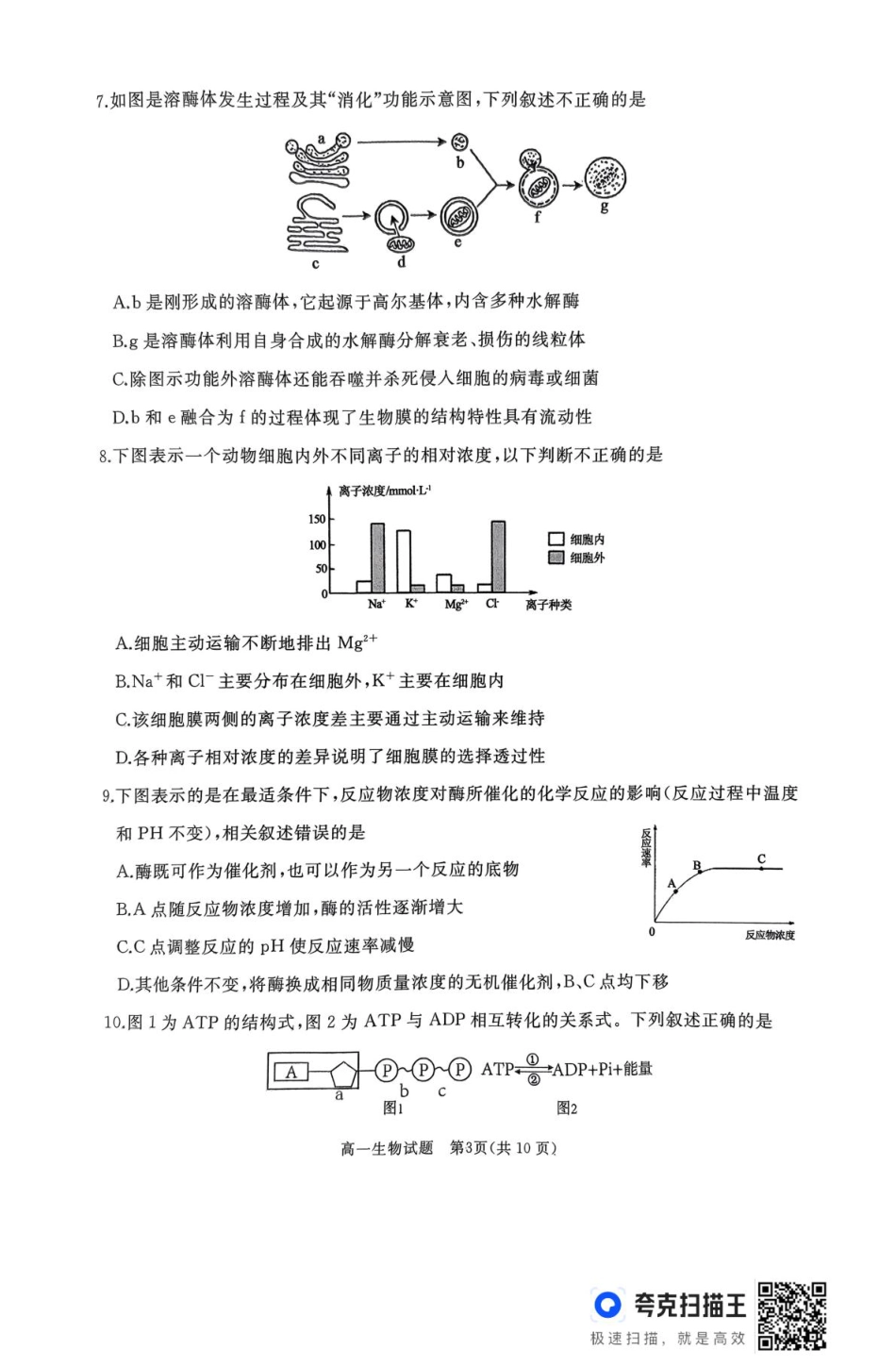山东省枣庄市台儿庄区等2地2024-2025学年高一上学期1月期末考试  生物  PDF版含答案_作业美化_高一生物试题.pdf_第3页