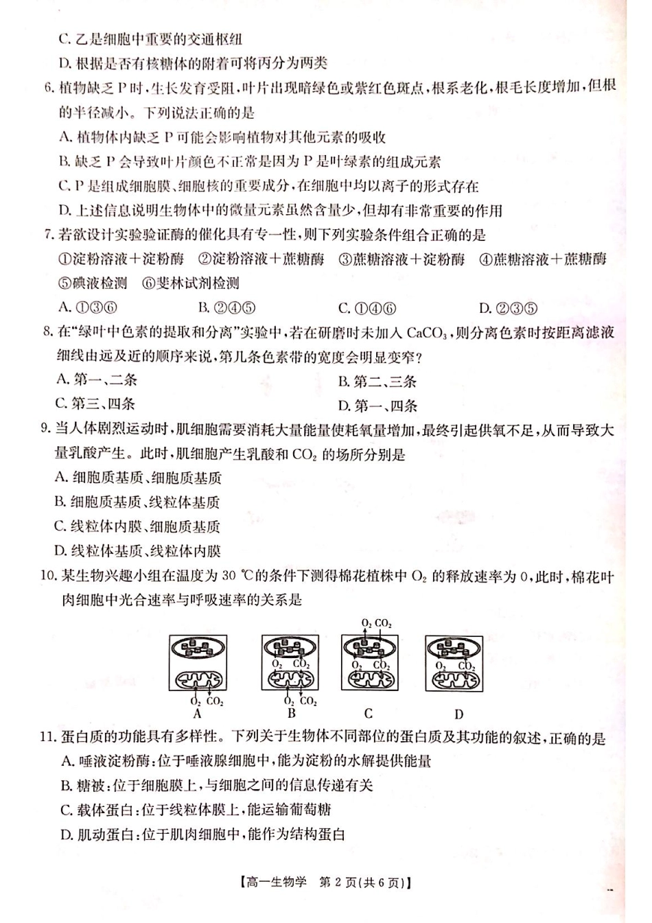 山西省晋城市2024-2025学年高一上学期1月期末考试 生物 PDF版含答案.pdf_第2页