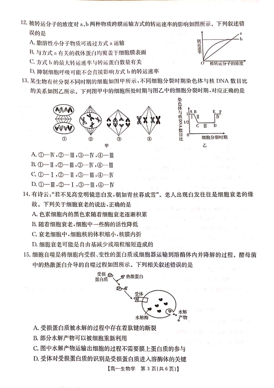 山西省晋城市2024-2025学年高一上学期1月期末考试 生物 PDF版含答案.pdf_第3页