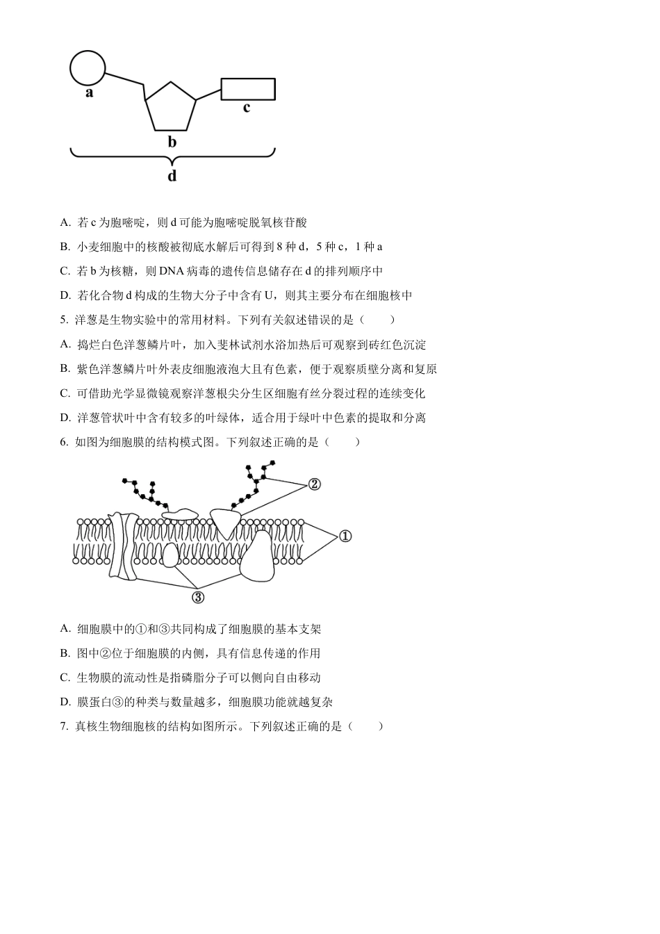 山西省晋中市2024-2025学年高一上学期期末调研测试生物试卷  Word版无答案.docx_第2页