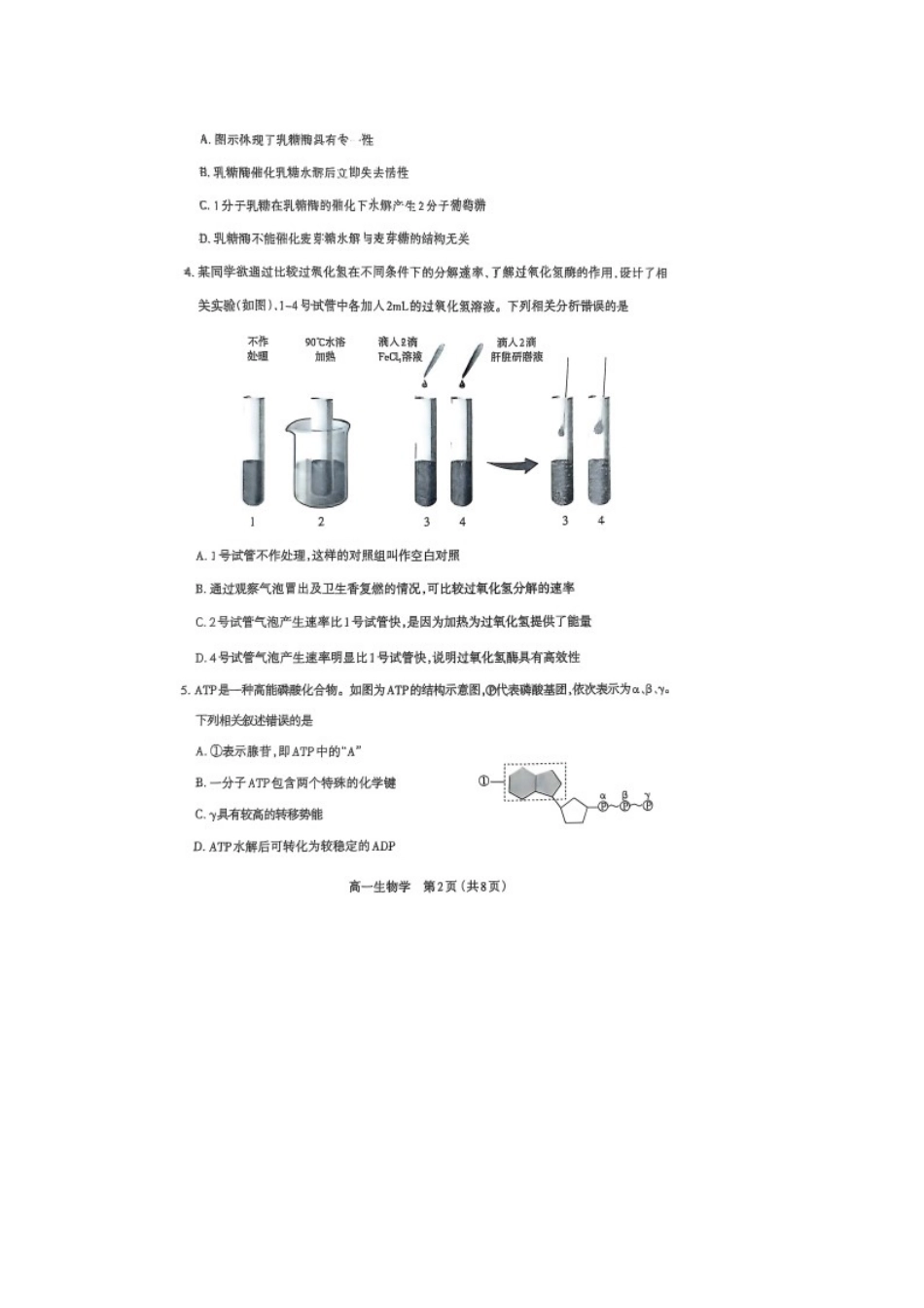 山西省太原市2024-2025学年高一上学期1月期末生物学试卷（图片版，含答案）.docx_第2页
