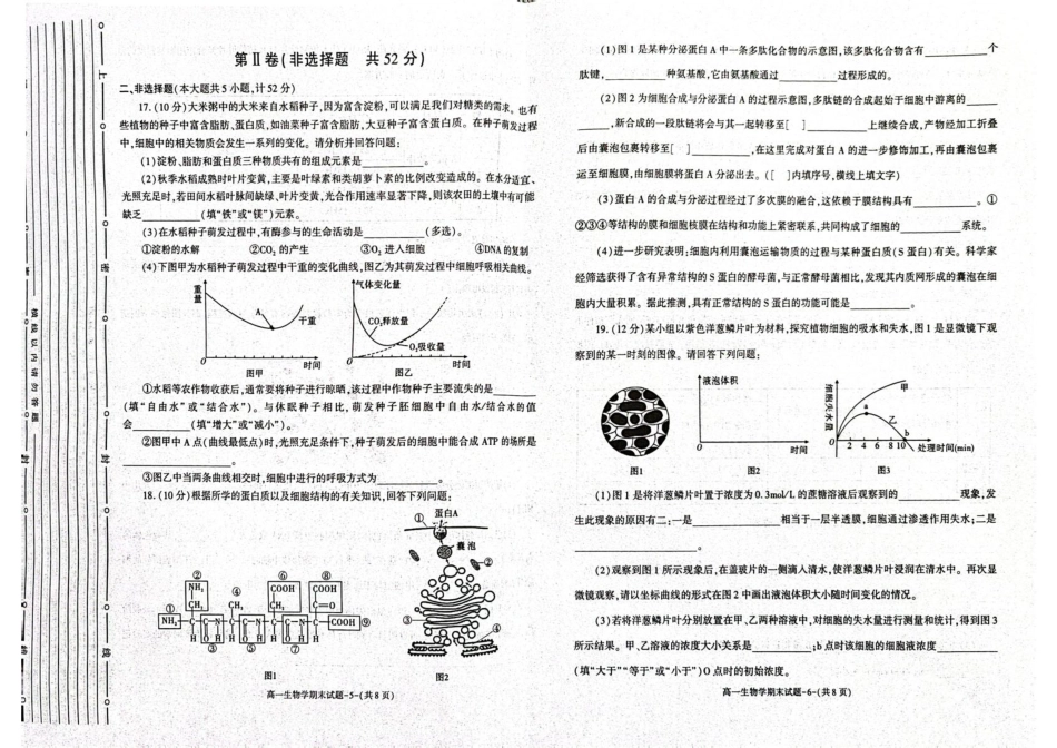 陕西省西安市新城区2024-2025学年高一上学期1月期末考试 生物 PDF版含答案.pdf_第3页