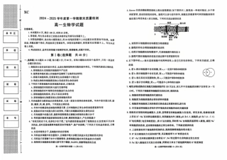 陕西省西安市新城区2024-2025学年高一上学期1月期末考试 生物 PDF版含答案.pdf